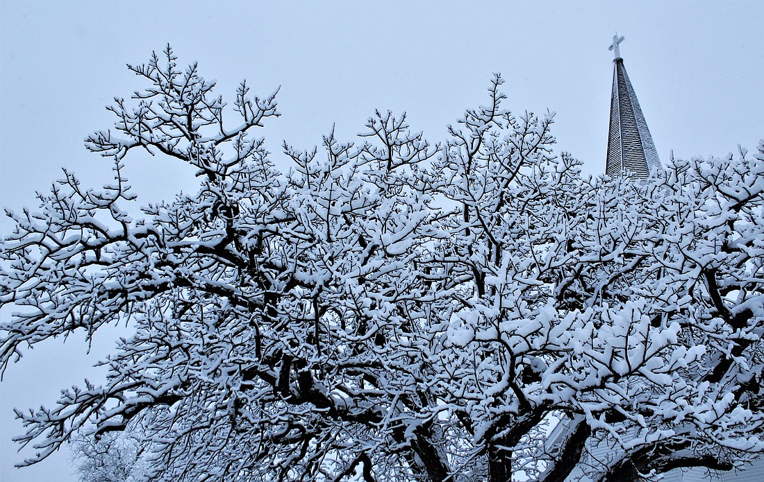 The church steeple of St. Mary Parish in Omro, Wis., is pictured with snow-covered tree branches in this file photo from Jan. 25, 2020.  (OSV News photo/Brad Birkholz, CNS)