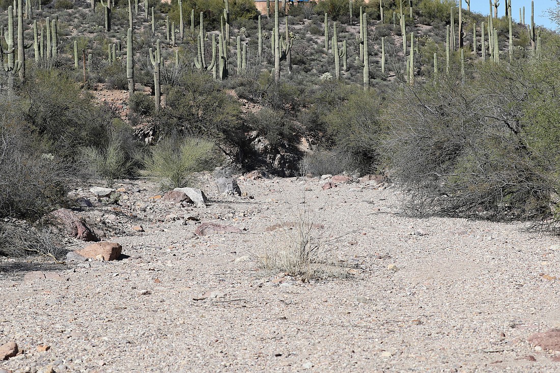 A dried-up creek bed is pictured along Camino de Oeste Trailhead in Tucson, Ariz., Jan. 28, 2024. A new study released March 26 by Georgetown University's Center for Applied Research in the Apostolate shows most Catholics in the U.S. believe environmental justice is an important issue, but only a third of them have heard of Pope Francis' encyclical on the topic..(OSV News photo/Bob Roller)