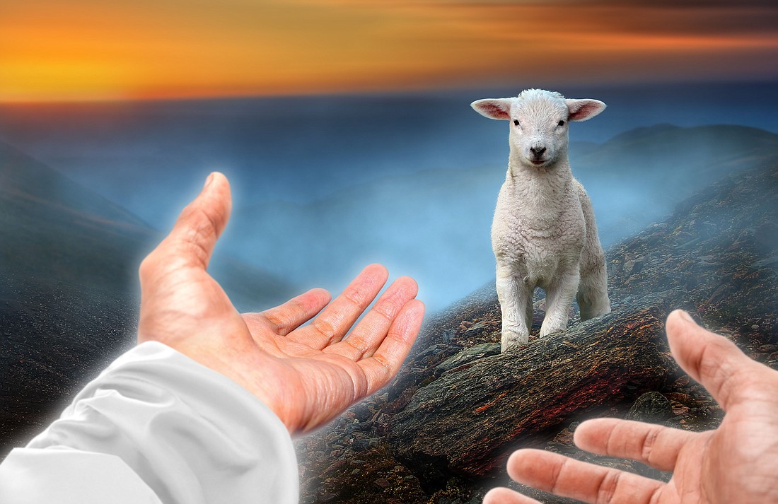 For the Fourth Sunday of Easter, Father Garry Koch reflects on Jesus as the Good Shepherd, who is always caring for his flock. Photo from Shutterstock.com
