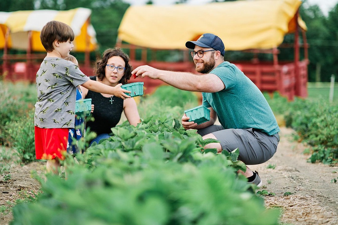 "Summer at the Farm," a family program of the St. Vincent de Paul Conference in Our Lady of Good Counsel Parish, Moorestown, is one of the many special projects that will be assisted by grants from the Bishop George W. Ahr Endowment Fund this year. Facebook photo/Johnson's Corner Farm