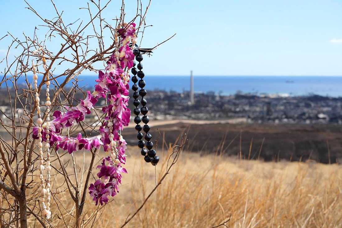 A makeshift memorial hangs on a tree overlooking burned houses and buildings in Lahaina, Hawaii, Aug. 12, 2023. Lahaina's Maria Lanakila Catholic Church was spared from the flames that wiped out most of the surrounding community on the island of Maui Aug 8 and 9. (OSV News photo/Sandy Hooper, USA Today Network via Reuters)