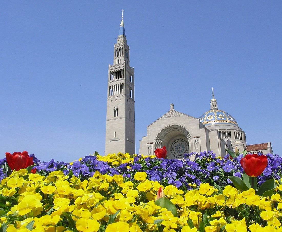 A file photo shows spring flowers blooming outside the Basilica of the National Shrine of the Immaculate Conception in Washington. The U.S. bishops designated the basilica as a special pilgrimage site for the 2025 Jubilee Year. (OSV News photo/Bob Roller)