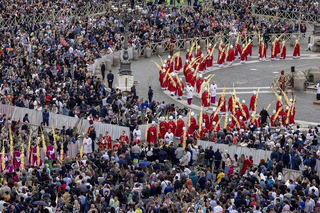 Cardenales procesan y obispos portando ramas de palma tejidas procesan en la Plaza de San Pedro durante la Misa del Domingo de Ramos en el Vaticano el 13 de abril de 2025. (Foto CNS/Pablo Esparza)
