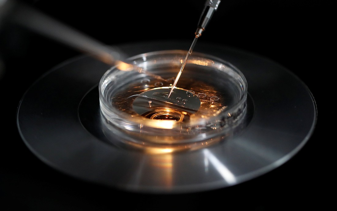 A medical lab technologist carries out an embryo vitrification protocol during an intra-cytoplasmic sperm injection process at a laboratory in Paris Sept. 13, 2019. (OSV News photo/Christian Hartmann, Reuters)