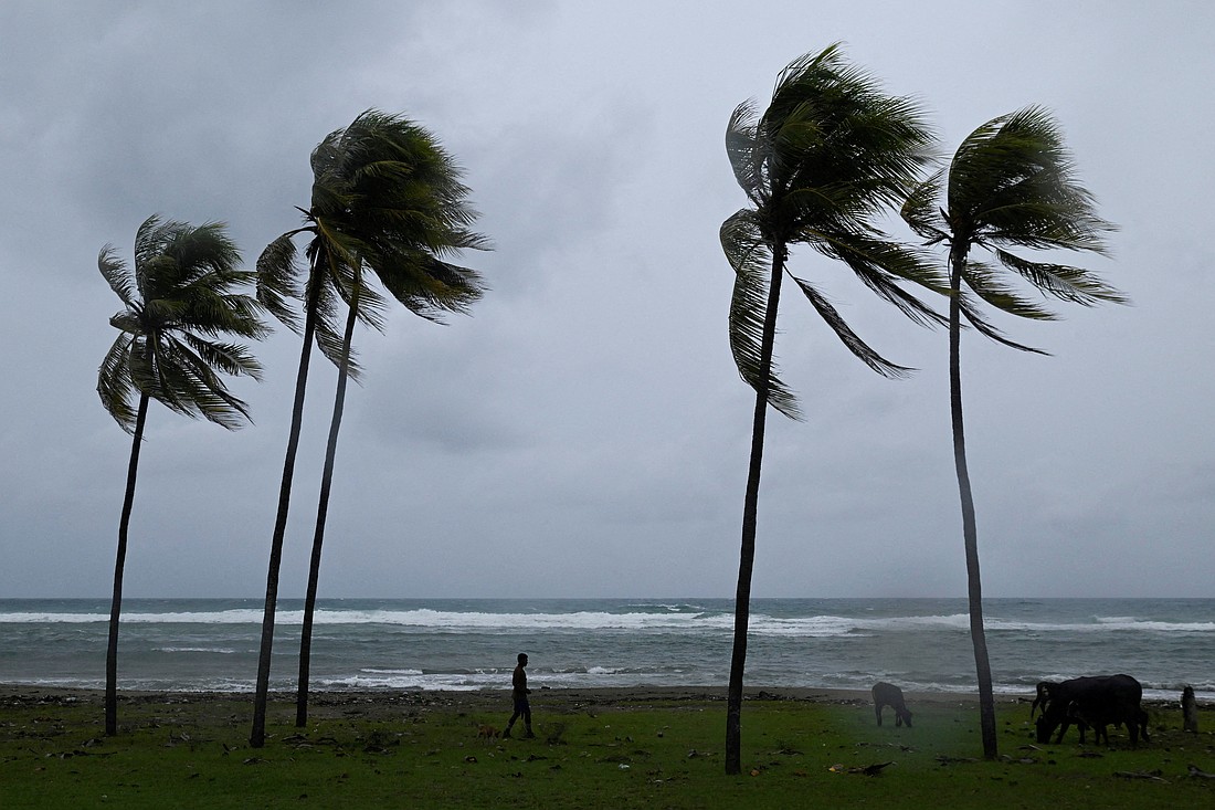 A man herds cattle along the coastline in Santiago de Cuba, Cuba, Oct. 28, 2025, ahead of Hurricane Melissa hitting the island nation. The Category 5 storm, with winds ranging from 175-185 mph, made landfall in southwestern Jamaica near New Hope around 1 p.m. ET, and about six hours later, CNN reported that Melissa was plowing across Jamaica, with its eye moving toward Cuba. Jamaica and Cuba are about 90 miles apart. (OSV News photo/Norlys Perez, Reuters)