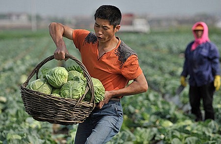 What is the connection between the Gospel and the food we eat?