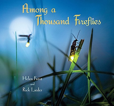 SUBSCRIBER EXCLUSIVE: Books about family, food, fireflies will keep kids reading this summer