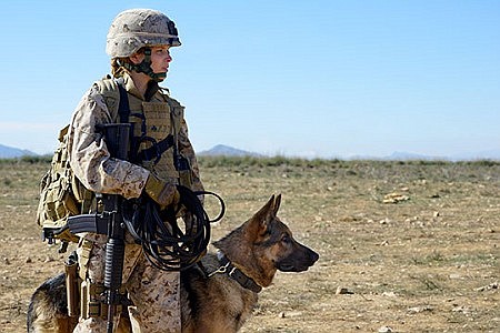 Megan Leavey