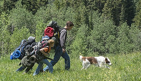 New film tells true story of how stray dog turned family's life around 