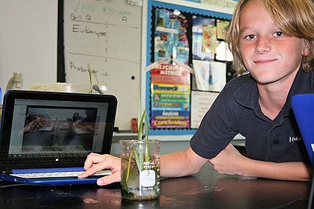 Holy Cross students study water pollution and take action in local waterways