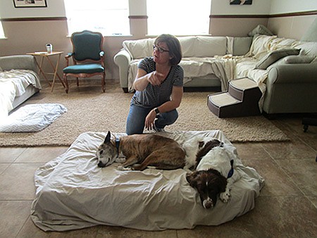 Seniors find benefits of working with older pets go both ways