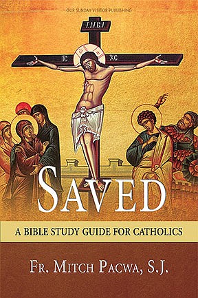 SUBSCRIBER EXCLUSIVE: Jesuit's Bible guide can benefit both individuals, study groups