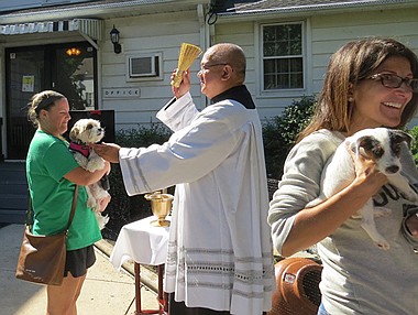 Parishes observe Feast of St. Francis with special blessings of pets 