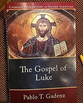 Priest of Trenton Diocese pens book on Luke's Gospel