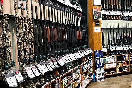 Washington bishops support ballot initiative on gun violence prevention