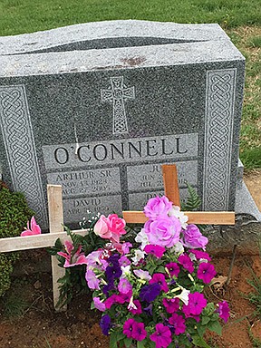 A reflection from Bishop O'Connell on All Saints, All Souls Days