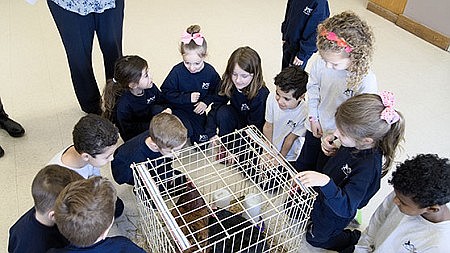 Farm to School Day takes root in Hamilton Square