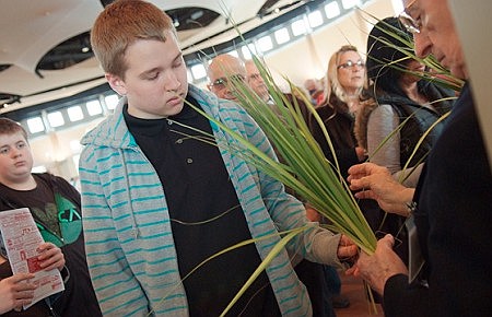 Palm Sunday - Entering Holy Week