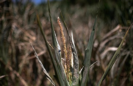 Climate Change: It's real and it's dangerous!