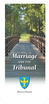 Outlining, defining annulment process eliminates fear  