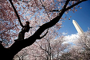 Spring is here and so is physical and spiritual beauty