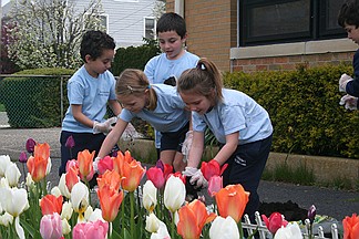 'Catholic Schools Do It All' during first Diocesan Day of Service