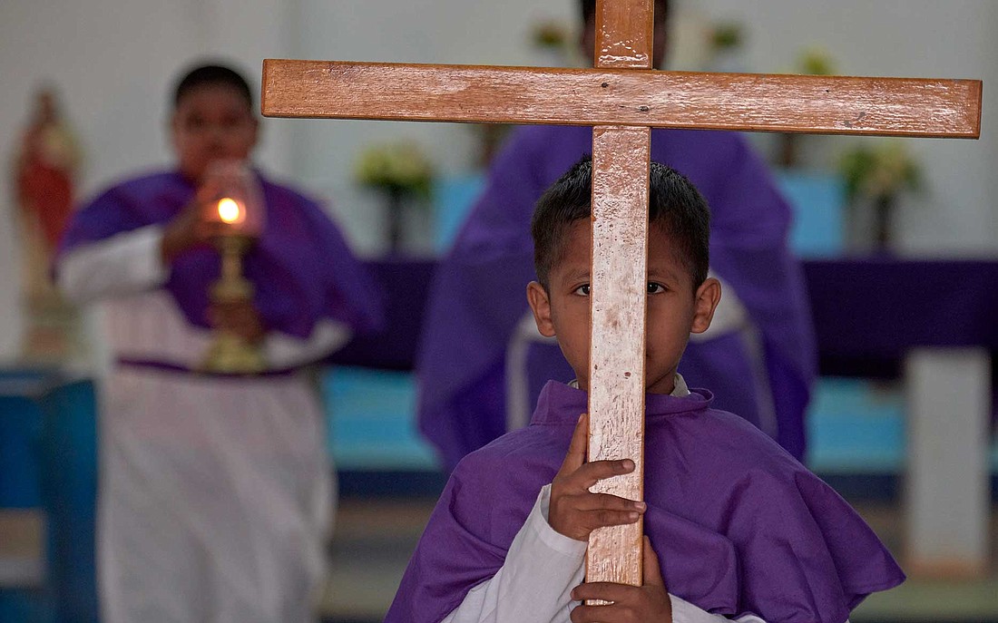 Environment among concerns to be discussed at Synod of Bishops for Amazon