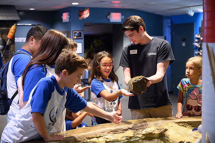 Keyport students celebrate God’s creation with aquarium visit