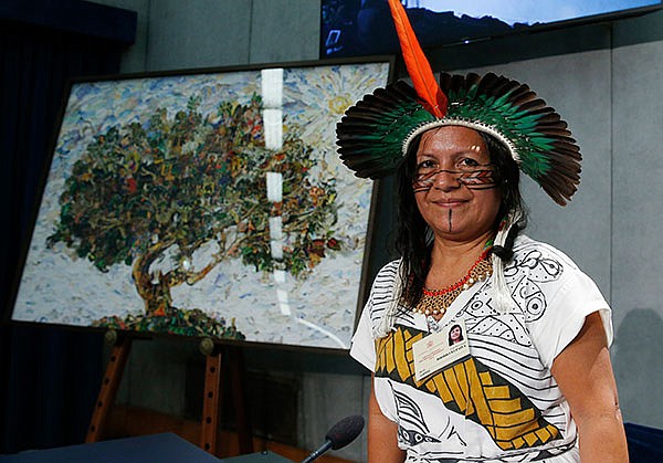 Amazon synod a reminder that Church committed to ecology, participants say