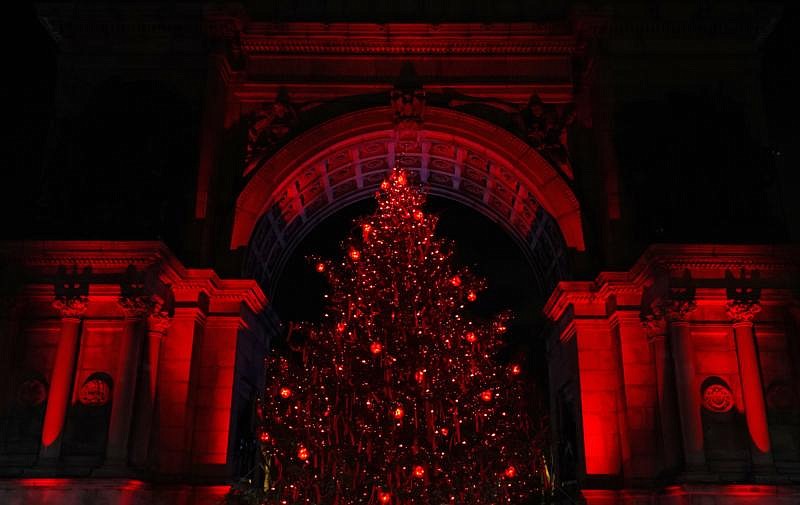 Christmas tree's red lights, bows call attention to Christian persecution 