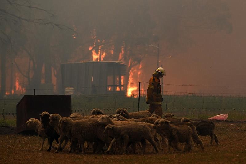 Australian Catholics seek prayers as fires continue in four states 
