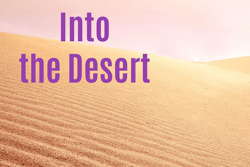 Enter Into The Desert