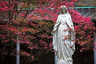 Pope composes prayers for end of pandemic to be recited after Rosary