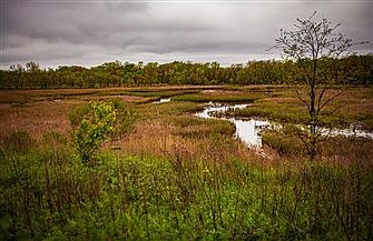 Vatican announces Laudato Si' anniversary year