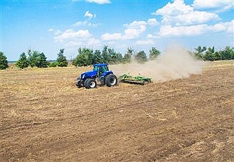 Father Koch:  All plants seek nourishment, even those on rocky soil