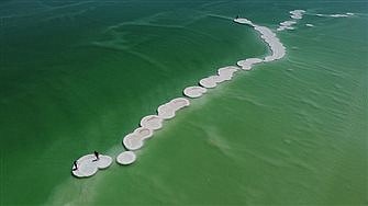 Coronavirus and creation: Bringing lessons learned into prayer, action