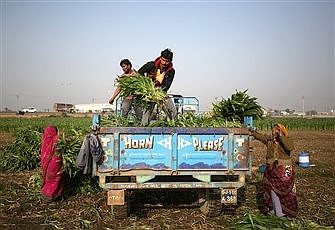 High-tech solutions to hunger must respect cultures, says academy head