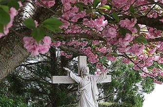 Love is clearest sign of faith, Pope says in homily for Christian unity