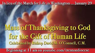 Join Bishop O'Connell for pro-life Mass Jan. 29
