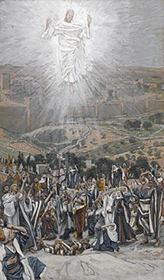 ‘He Was Taken from their Sight’:  the Ascension of the Lord