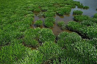 Bishops: Discern 'ecological conscience' using papal teaching