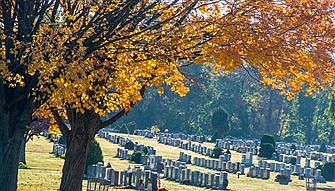 Holy See extends plenary indulgence for faithful departed through November