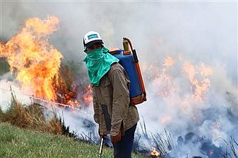 Caritas seeks funds as millions of acres burn in Argentina