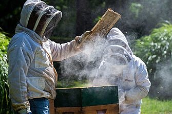 Show me the honey: Maryland sisters find divine touch in beekeeping