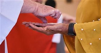 Healthcare workers honored, blessed during St. Luke Parish White Mass