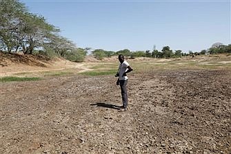 Congolese cardinal urges Global North to lead in tackling climate crisis