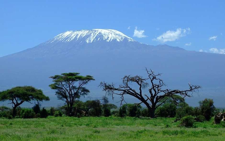 Italian missionary sister beatified in Kenya after serving nearly a century ago