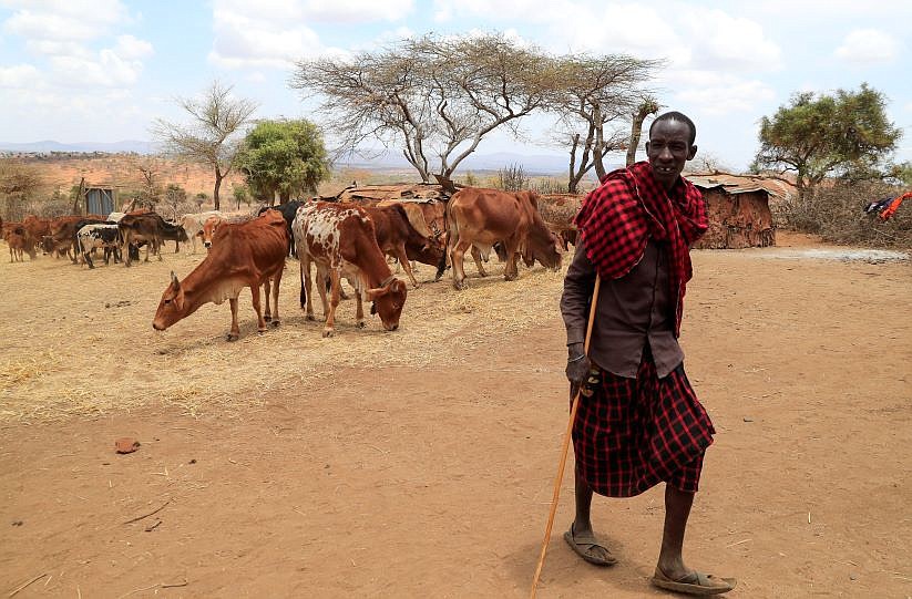 Kenyan bishops say drought at 'crisis level'