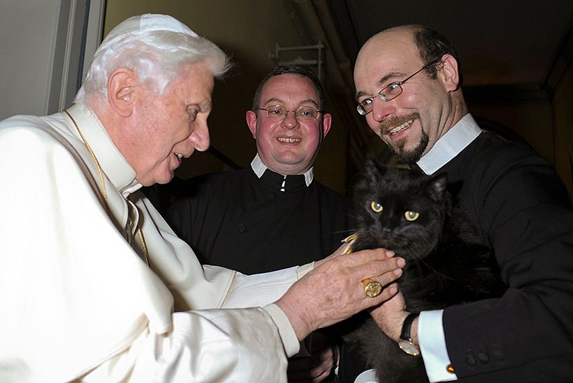 German Pope made no secret of his love for cats