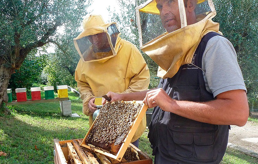 Papal farm, gardens will be home to new center promoting sustainability